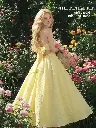 imgi_135_1770630845e2aa40d6dcd339628de0fabfb20fb0f7.webp