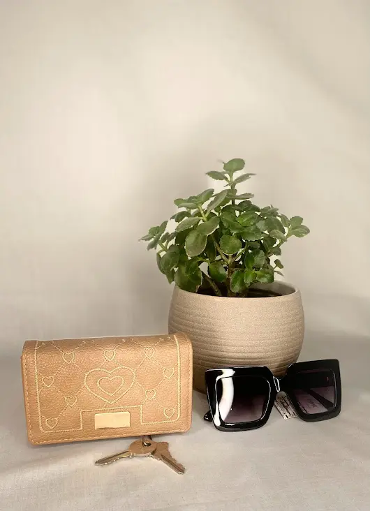 Variedad de Cartera Monedero