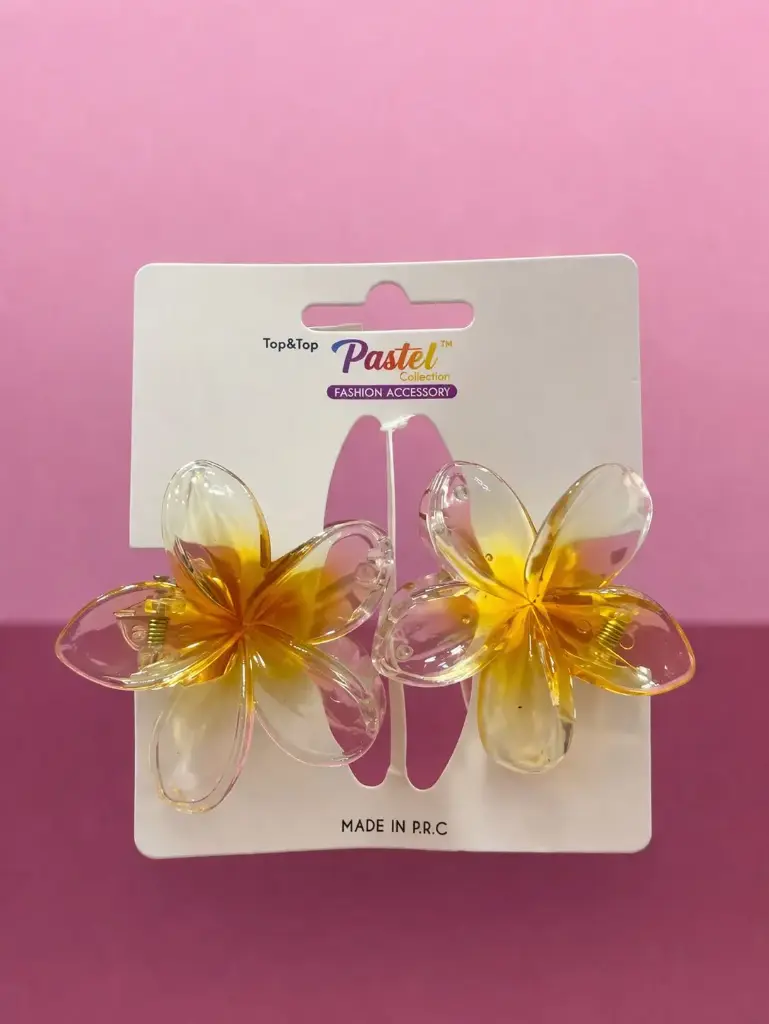 Duo Pinzas Flor PASTEL